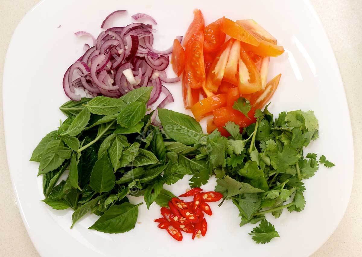 Shallots, tomatoes, chilies, basil, mint and cilantro on plate