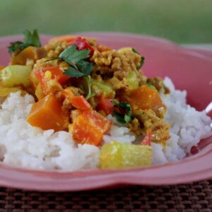 Ground pork and vegetable curry over rice