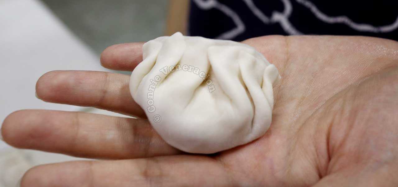 Uncooked gyoza