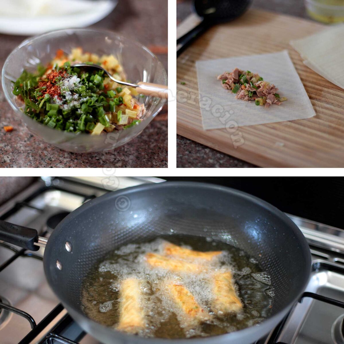 Spicy tuna and vegetable spring rolls