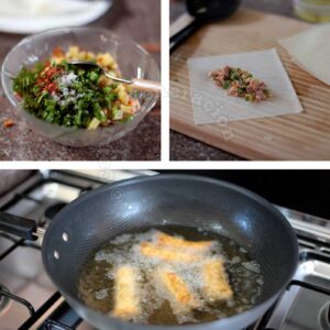 Spicy tuna and vegetable spring rolls
