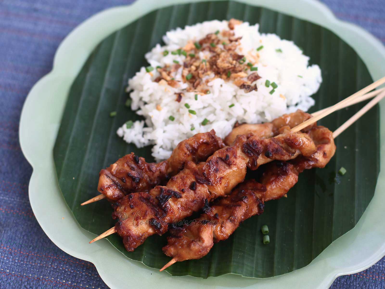 Asian grilled chicken skewers