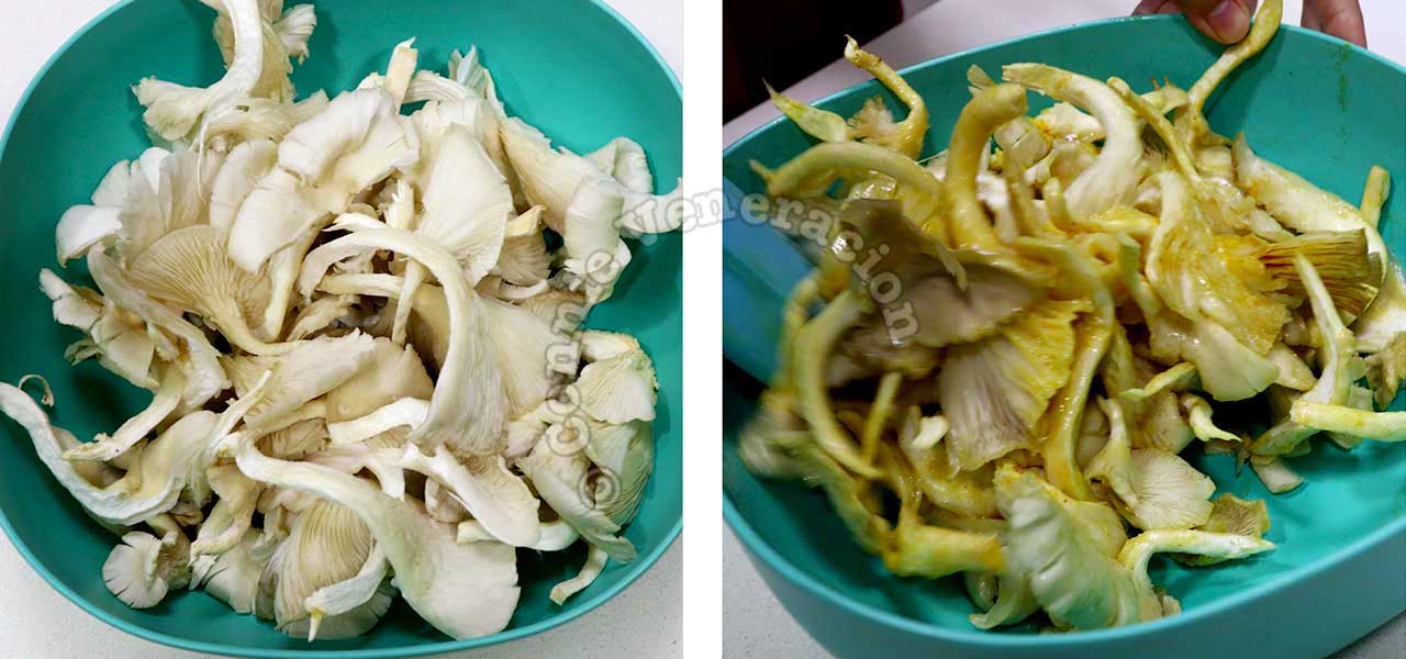 Tossing oyster mushrooms in egg