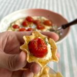 Cream cheese and roasted tomatoes dip