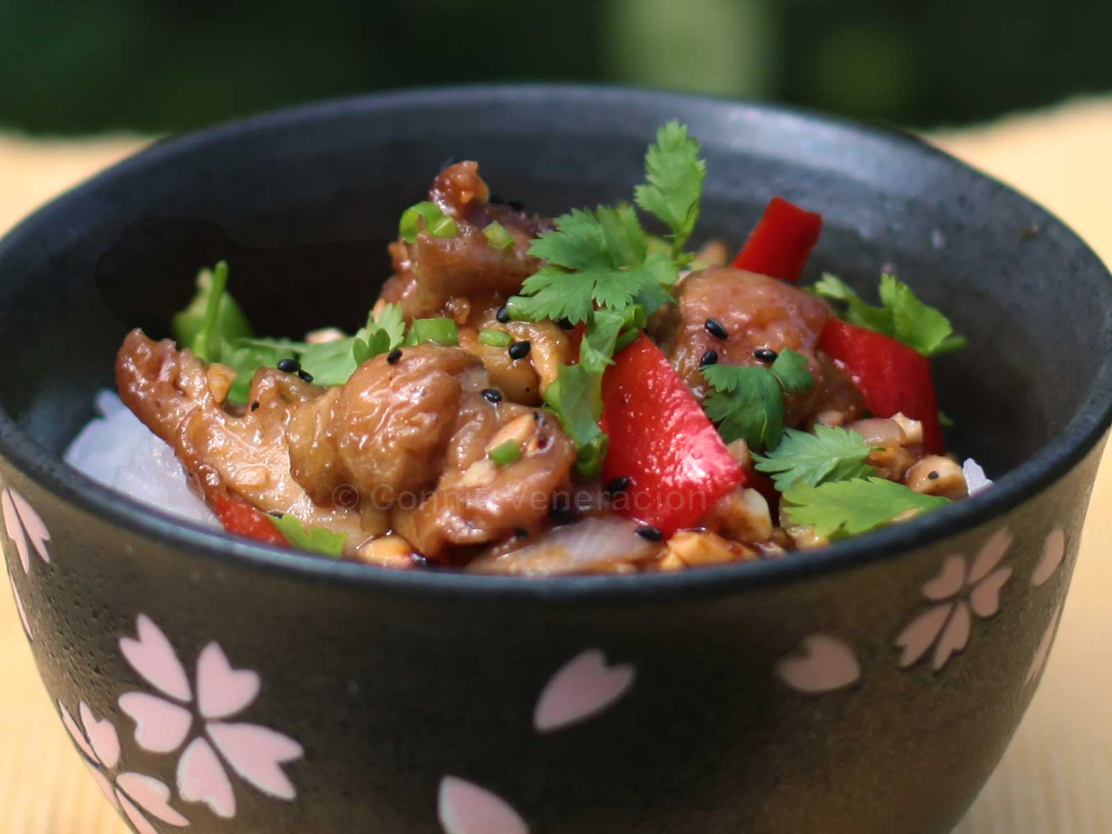 Chicken with chili peanut sauce