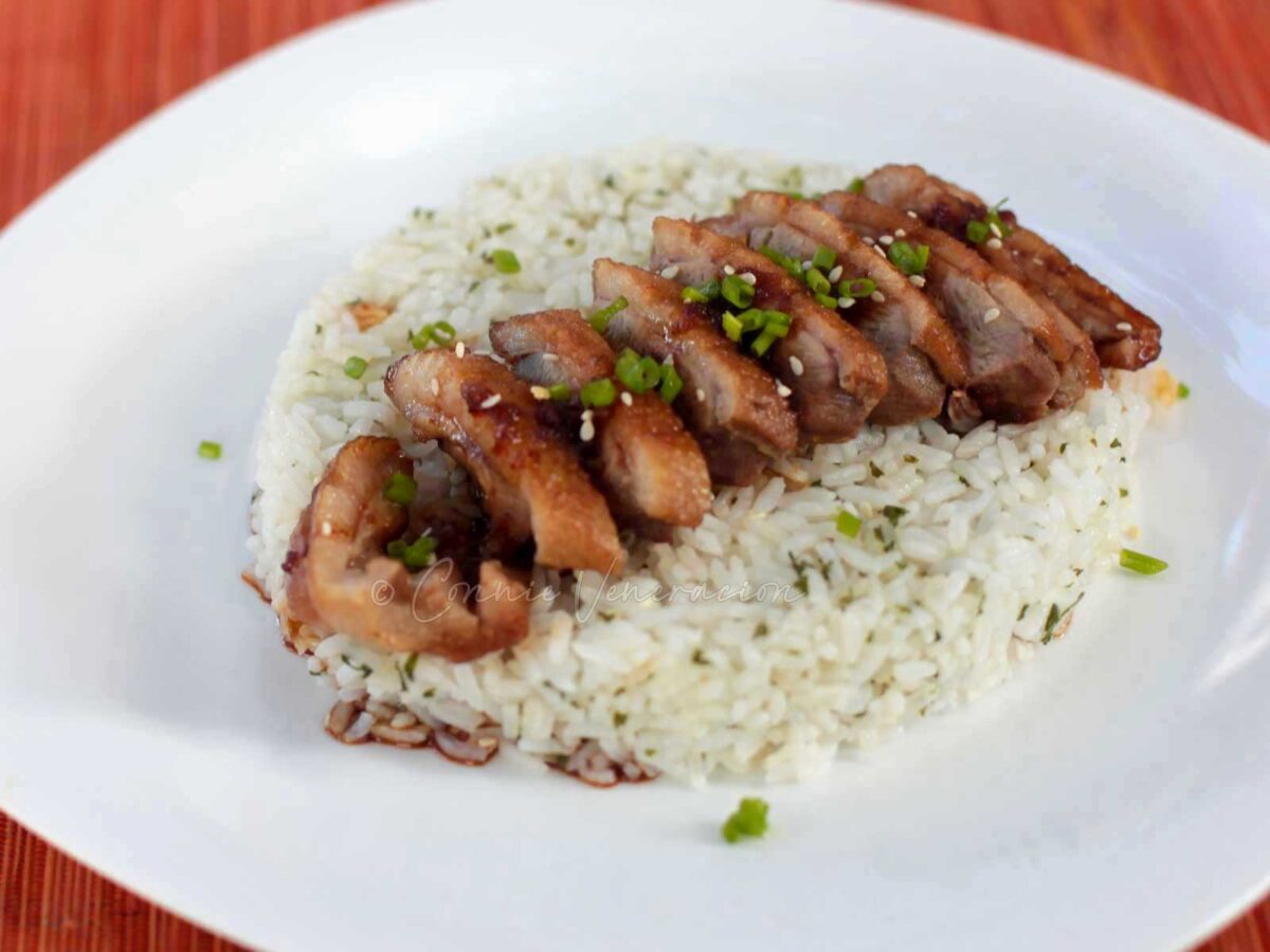 Duck breast teriyaki