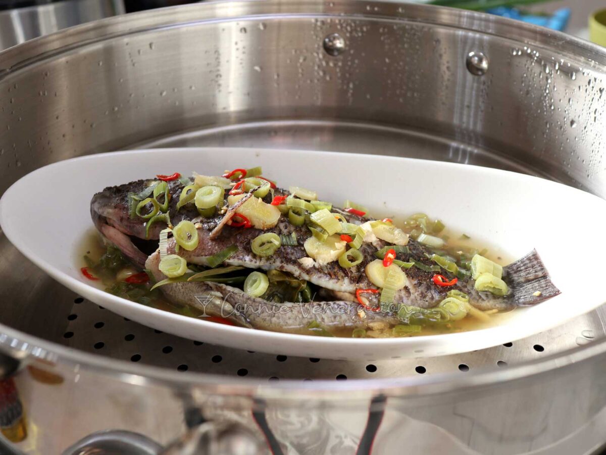 Steamed whole tilapia with ginger, scallions and chilies